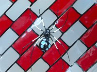  A glass spider in a shop window - Murano