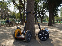  Our Segways parked by a tree