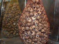  Bag of snails at the market