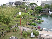  Chinese garden