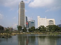 A park in central Tokyo
