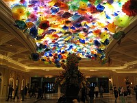  Hundreds of huge glass flowers adorn the roof of a section near the reception at the Belagio. Unbelievably expensive!