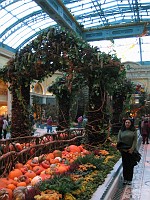  A Thanksgiving display at the Belagio