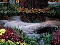  An autumn display at the Belagio