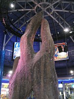  An indoor climbing setup in a shopping center. Durban, South Africa.