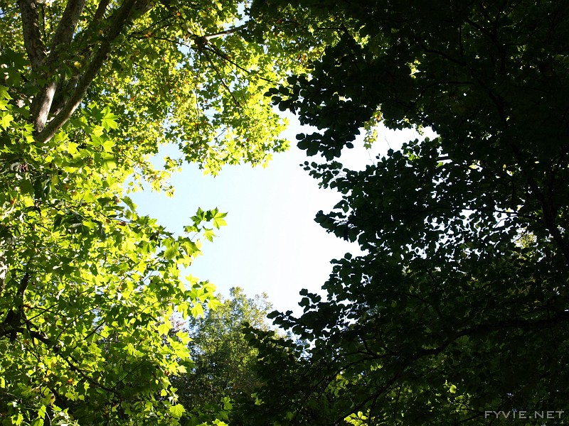 P9230091